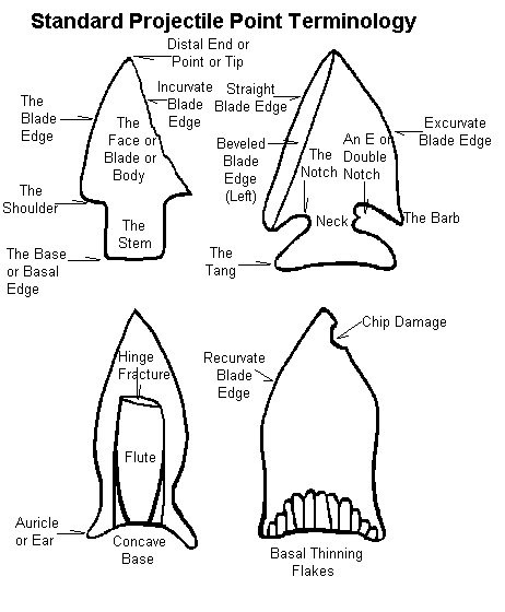 Arrowhead Identification Chart