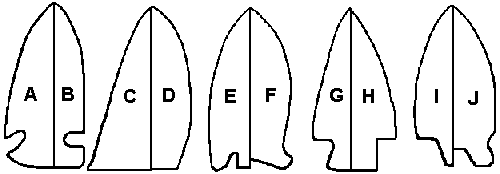 Point Types By Shape or Morphology